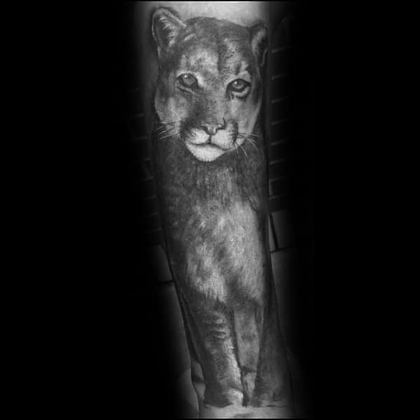 Forearm 3d Mountain Lion Tattoo Designs For Guys
