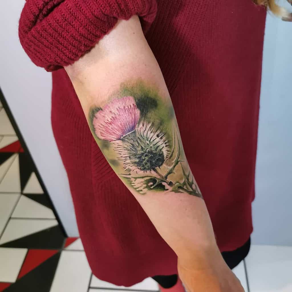 scottish thistle and english rose tattoo