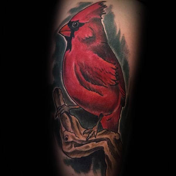 Thanks to afosttt for flying across the country to get this cardinal and  my last tattoo of 2016 hiddenh  Cardinal tattoos Tattoo designs and  meanings Tattoos