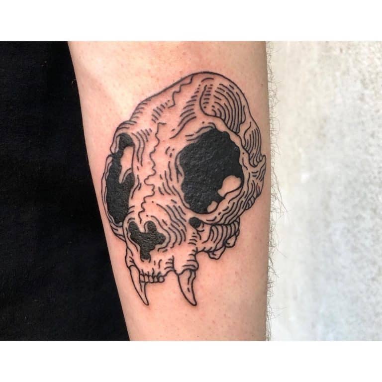 Cat Skull Tattoo Ideas and the Meaning