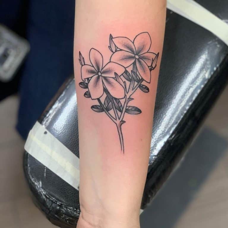 55 Cool Jasmine Flower Tattoo Ideas [2024 Inspiration Guide]