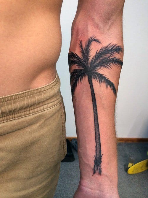 Forearm Men Black Palm Tree Tattoo