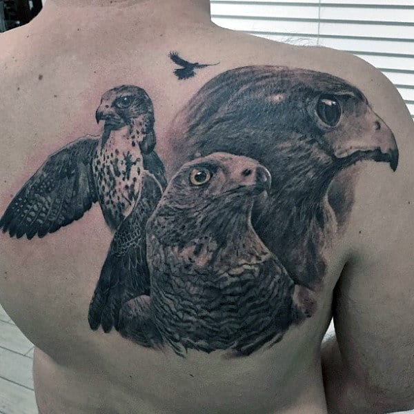 Four Watchful Hawks Tattoo Shaded On Male Back