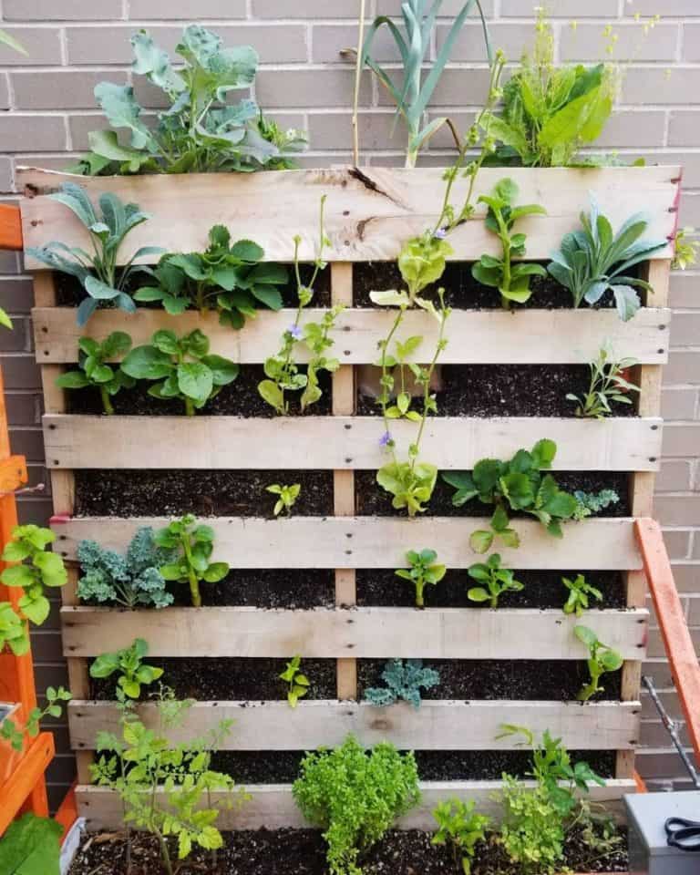 Eco-Friendly and Stylish Pallet Garden Designs for Your Home