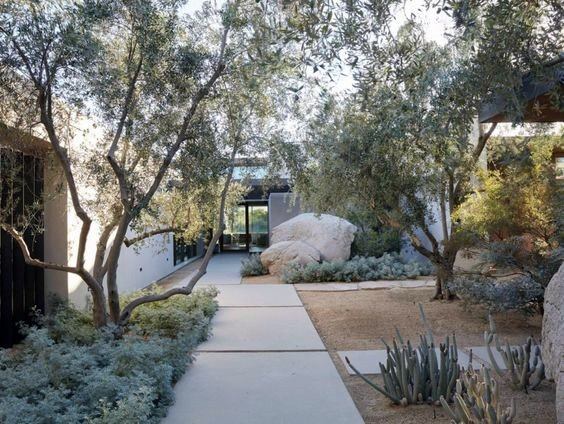 slab paver pathway desert garden backyard 