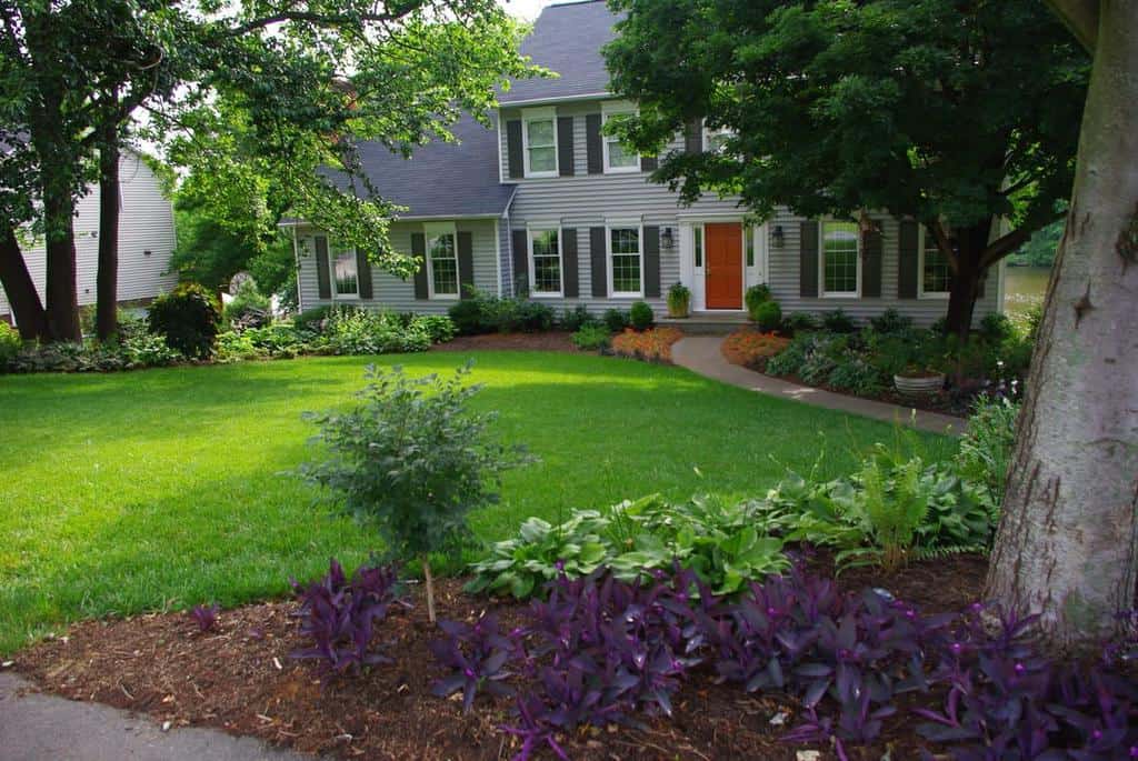 leafy front yard garden 