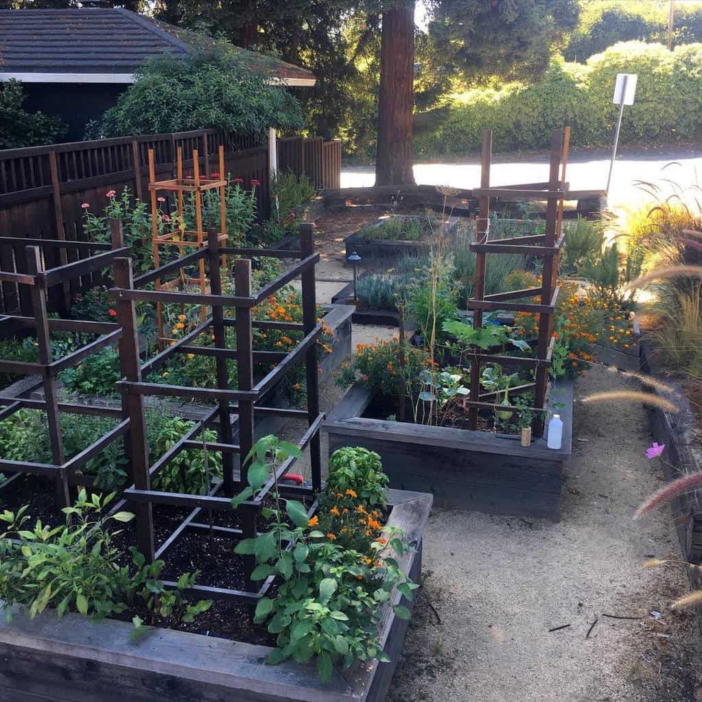 wood planter boxes backyard 