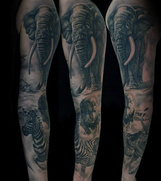 Full Safari Themed Sleeve Mens Zebra And Lion Tattoo Designs