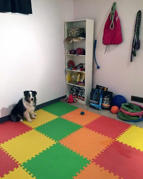 Top 60 Best Dog Room Ideas Canine Space Designs - Dog Room Decor Items