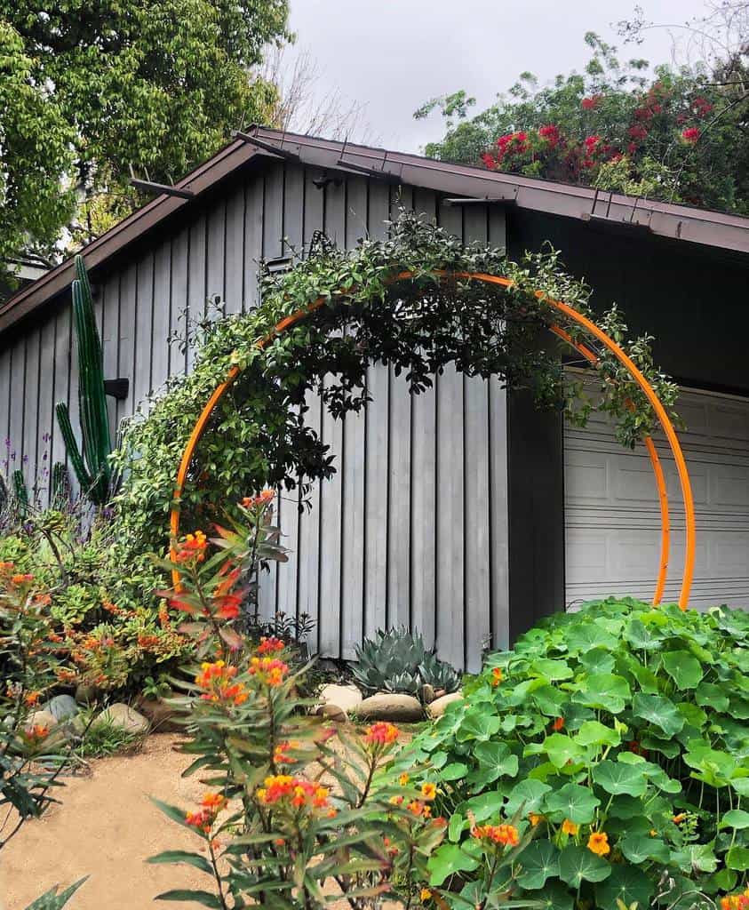 orange garden arch garden trellis ideas vines