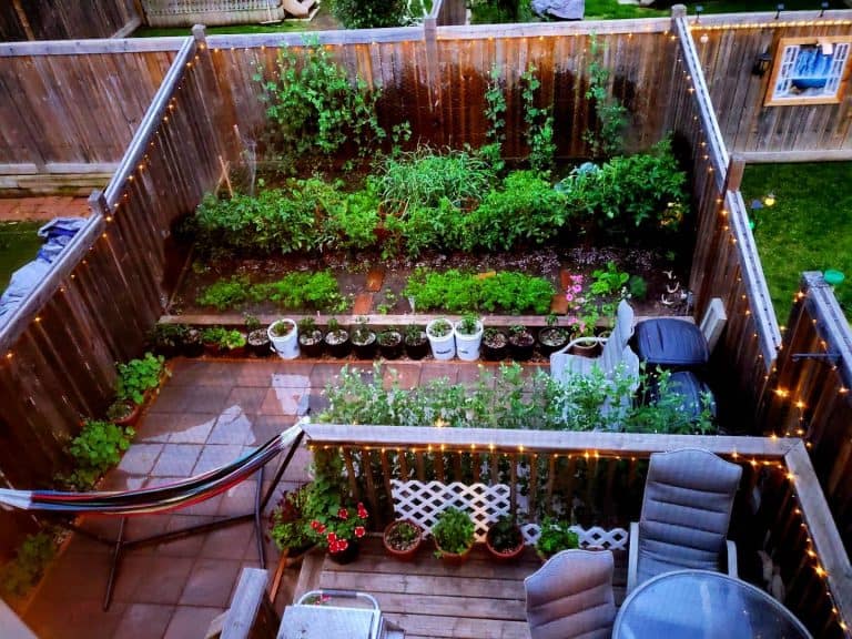 Discover 62 Creative Small Backyard Ideas for Every Style