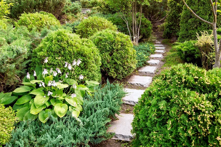 garden walkway with natural stone