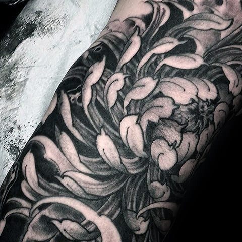 Gentleman With Amazing Shaded Chrysanthemum Flower Tattoo On Arm