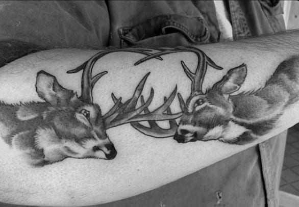 Gentleman With Deer Fighting Antler Tattoo On Forearm