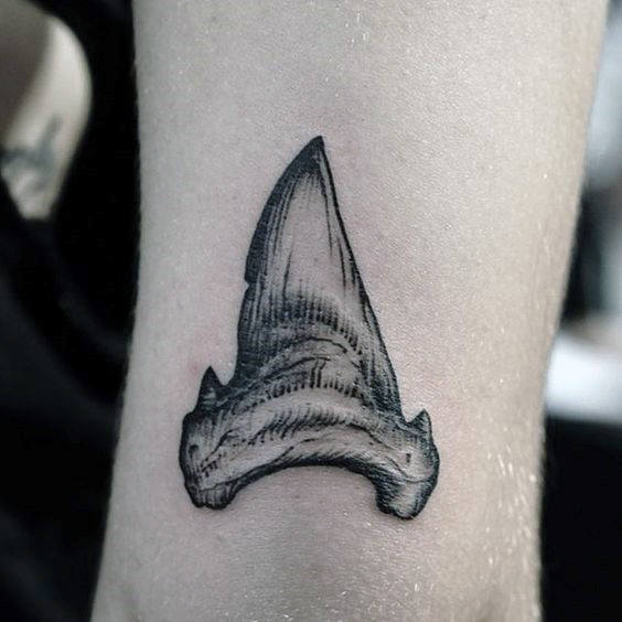 410+ Shark Tooth Tattoo Stock Illustrations, Royalty-Free Vector Graphics &  Clip Art - iStock