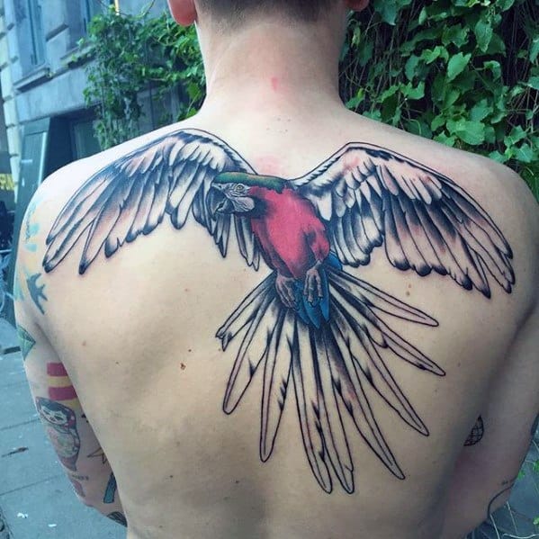 Gentleman With Flying Parrot Upper Back Tattoo