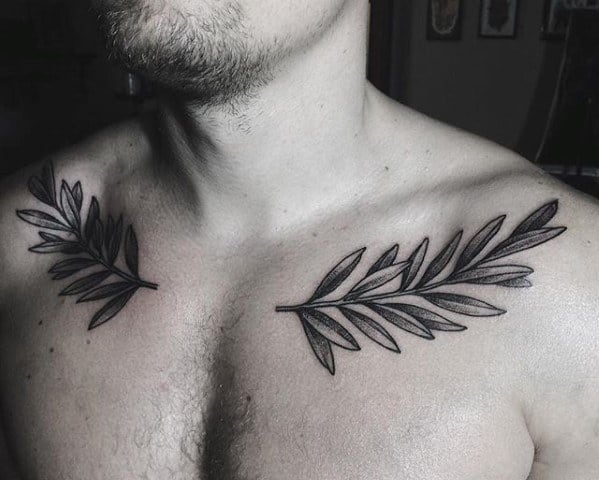 Gentleman With Olive Tree Branches Collar Bone Tattoo