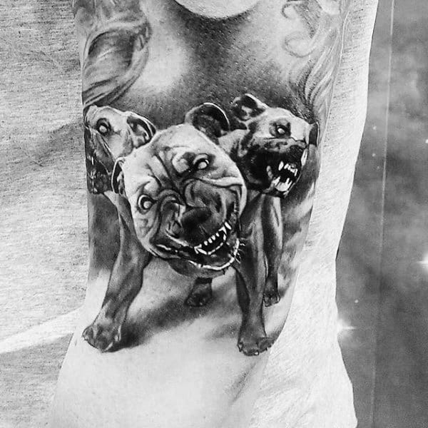 Gentleman With Realistic Cerberus Dog Tattoo On Arm
