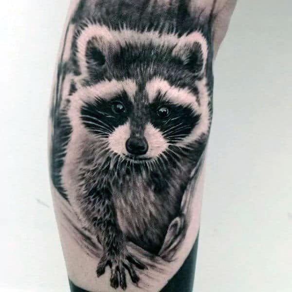 Gentleman With Realistic Raccoon Arm Tattoo