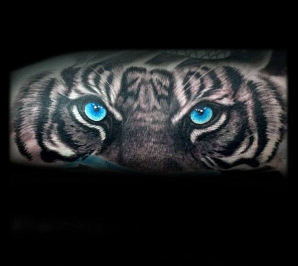 Gentleman With Tiger Blue Eyes Tattoo On Arm