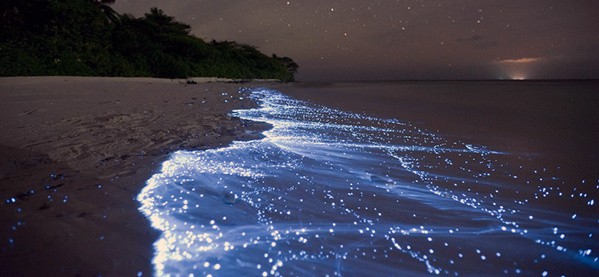 Glowing Blue Beach Tide Vaadhoo Maldives