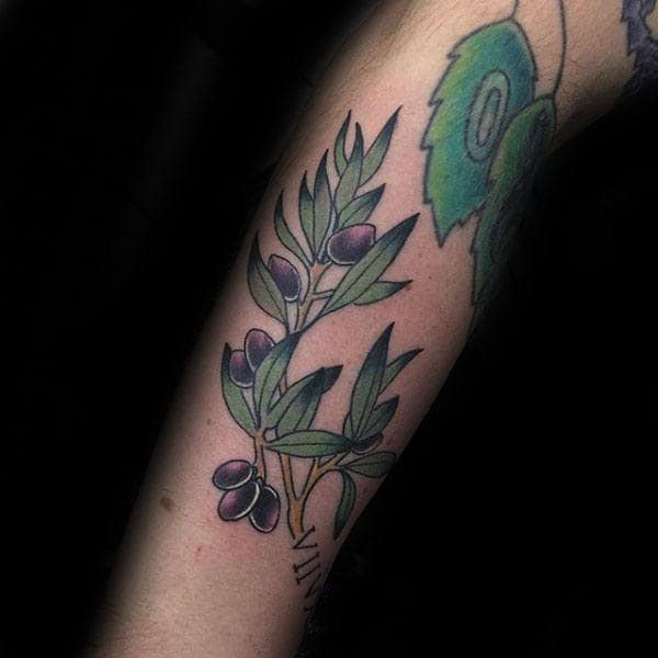 Green Branch Leaves With Purple Olives Mens Forearm Tattoo