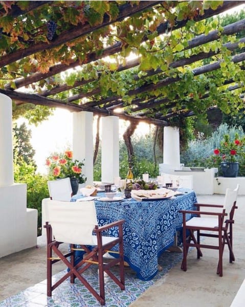 Green Covered Plant Pergola Ideas