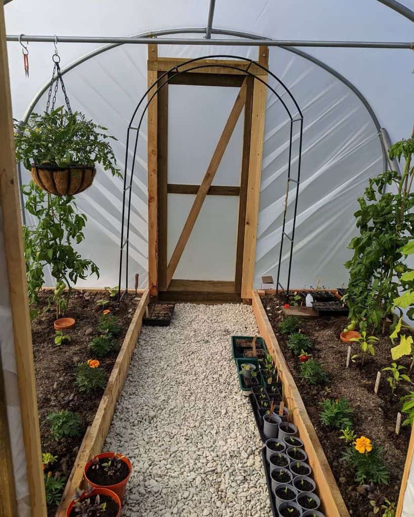 well maintained greenhouse vegetable garden 