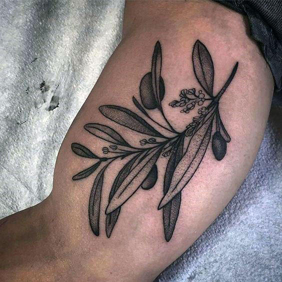 Grey Dotwork Male Olive Branch Bicep Inner Arm Tattoos