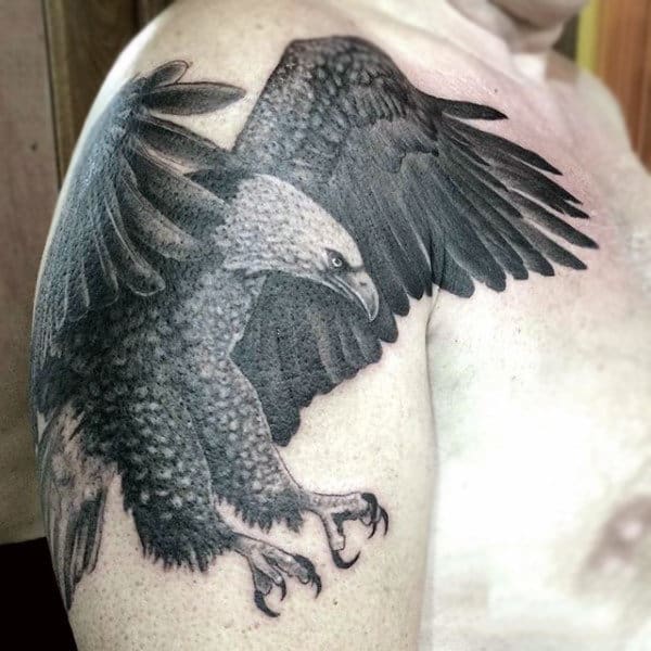 Greyish Bald Eagle Tattoo Guys Arms