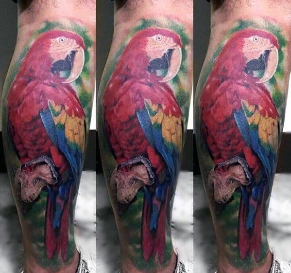 Guy With Parrot Tattoo Design Leg Sleeve