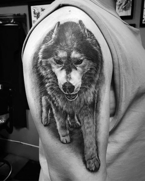 Guy With Siberian Husky Tattoo On Arm