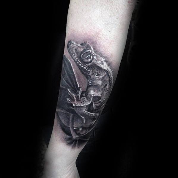 Guys 3d Forearm Tattoo Ideas Gecko Designs