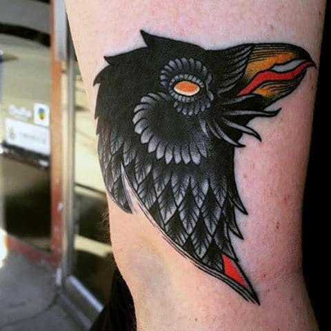 Guys Arms Innovative Yellow Red Beaked Raven Tattoo