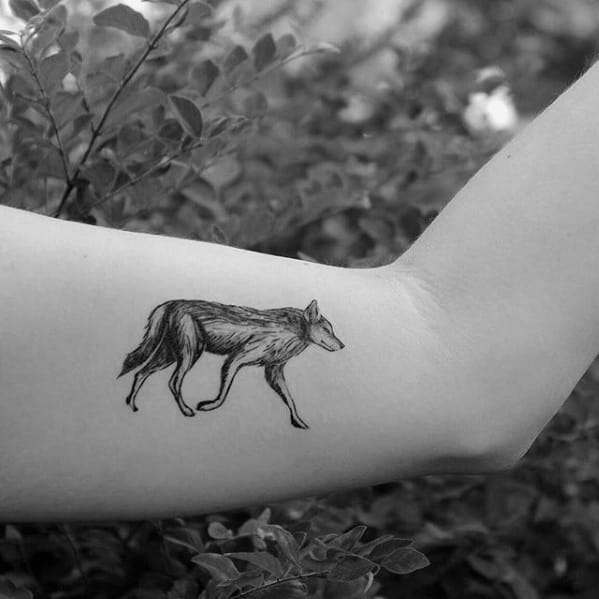 Guys Coyote Small Inner Arm Tattoos