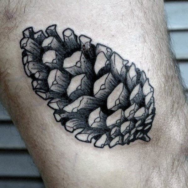 60 Pine Cone Tattoo Designs For Men Evergreen Ink Ideas