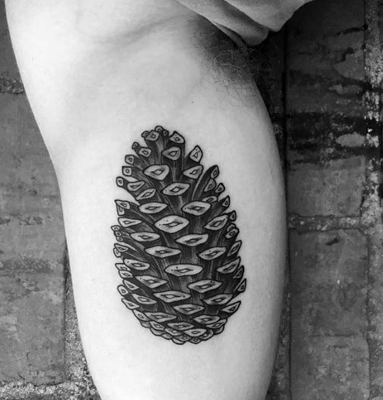 Pine cone and fern leaf tattoo  Tattoogridnet