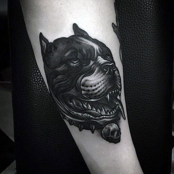 Guys Pitbull Dog Tattoo On Arm