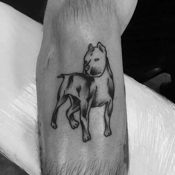 3 Incredible Pit bull Dog Tattoo On Leg