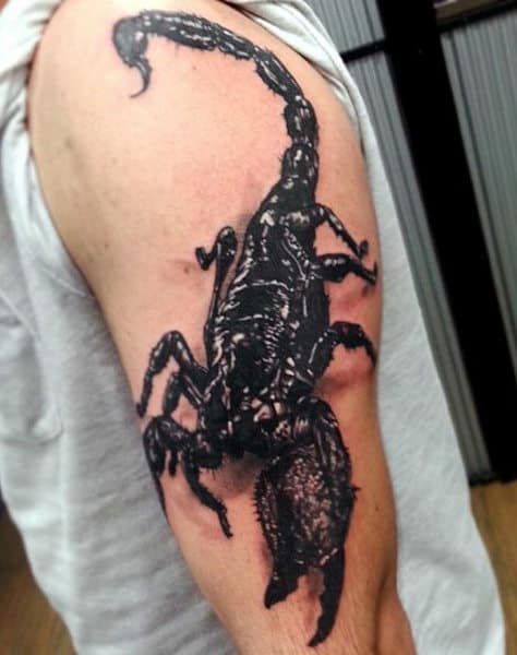 Realistic Scorpion Tattoo Gallery | Hình xăm nam, Thiết kế hình xăm, Xăm