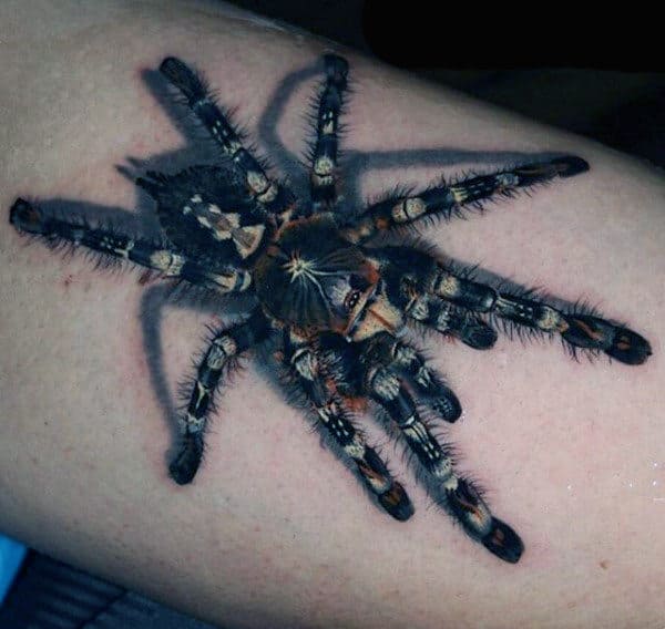 Hairy 3D Spider Tattoo On Thighs For Men
