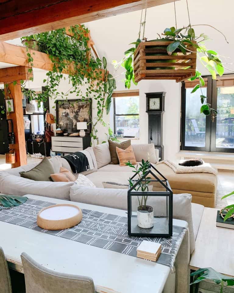 Lush and Innovative Indoor Garden Ideas for Every Space