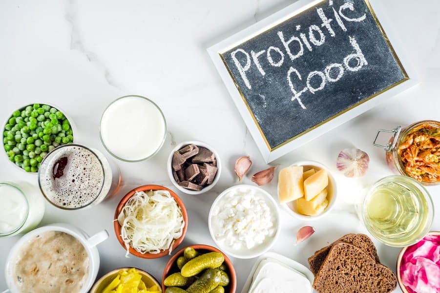 healthy probiotic fermented food source