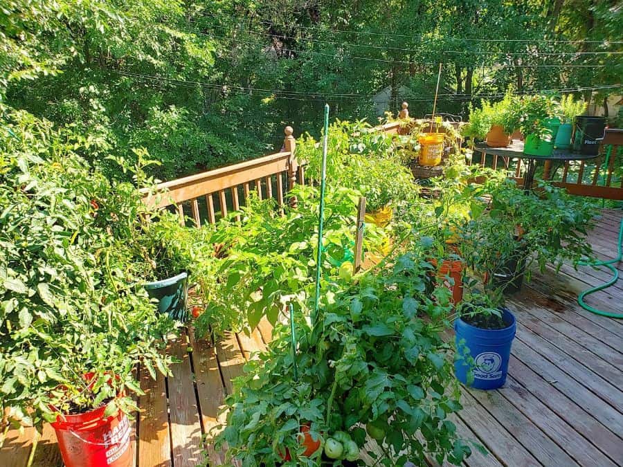 https://nextluxury.com/wp-content/uploads/herb-and-vegetable-garden-container-garden-ideas-sethpeake45345.jpg