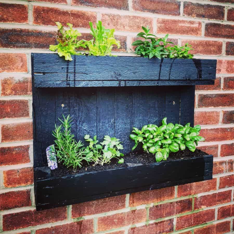 black wood herb garden vertical