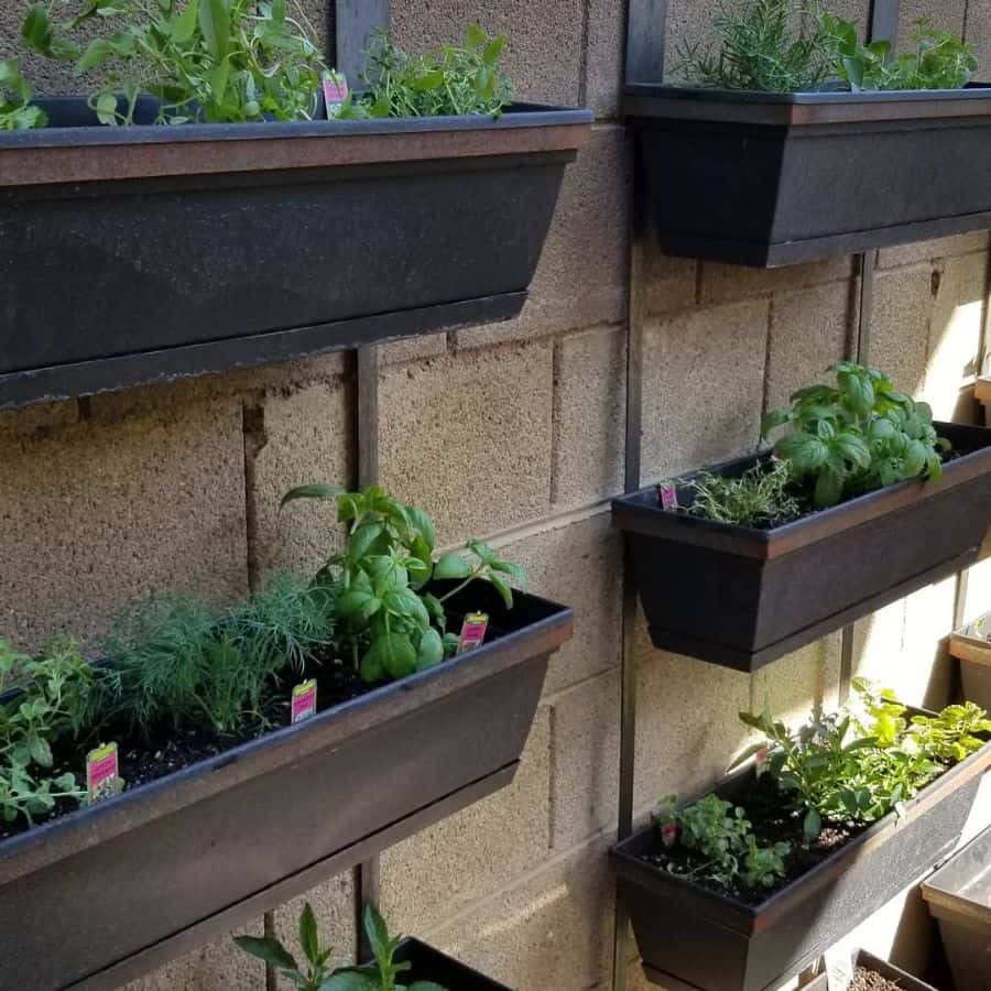 herb garden vertical garden