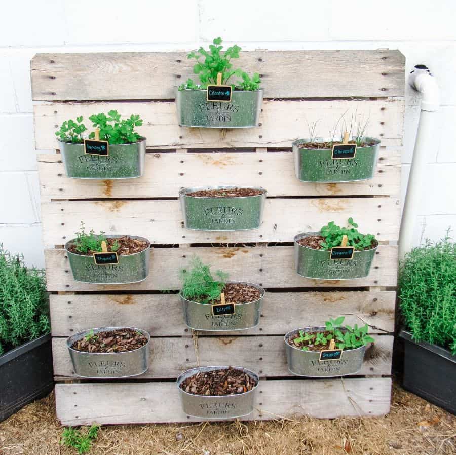 vertical herb garden on pallet