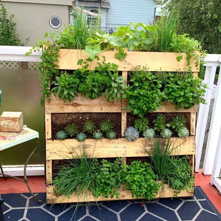 Eco-Friendly and Stylish Pallet Garden Designs for Your Home