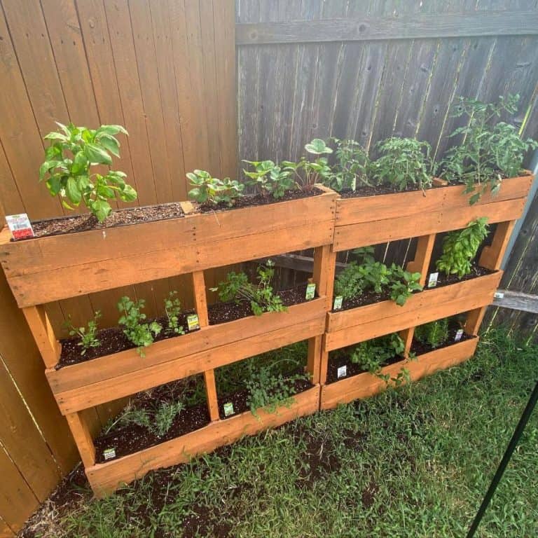 Eco-Friendly and Stylish Pallet Garden Designs for Your Home