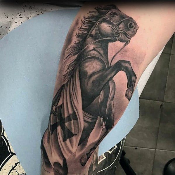 Tattoo  Lovely work on this sleeve by Mateusz Lisiewicz inkoftheday horse  horsetattoo cat cattattoo realism realistictattoo tattoosleeve  sleevetattoo sleeve tattoo tattoos tattoodotcom  Facebook